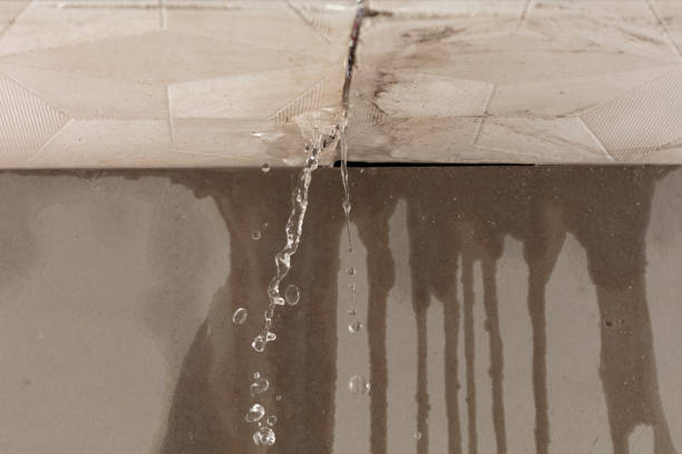 Professional Structural Drying technician working in Center Harbor, NH